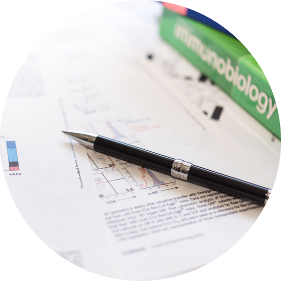 Medical Evidence for the Brain Assessment